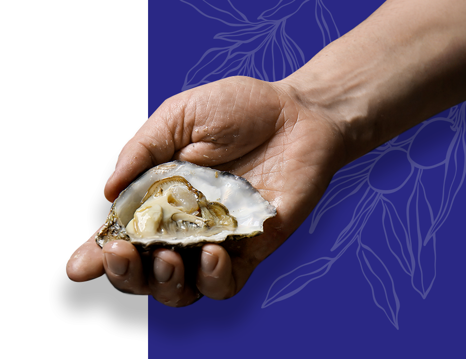 Addenda - restaurant GUJAN-MESTRAS