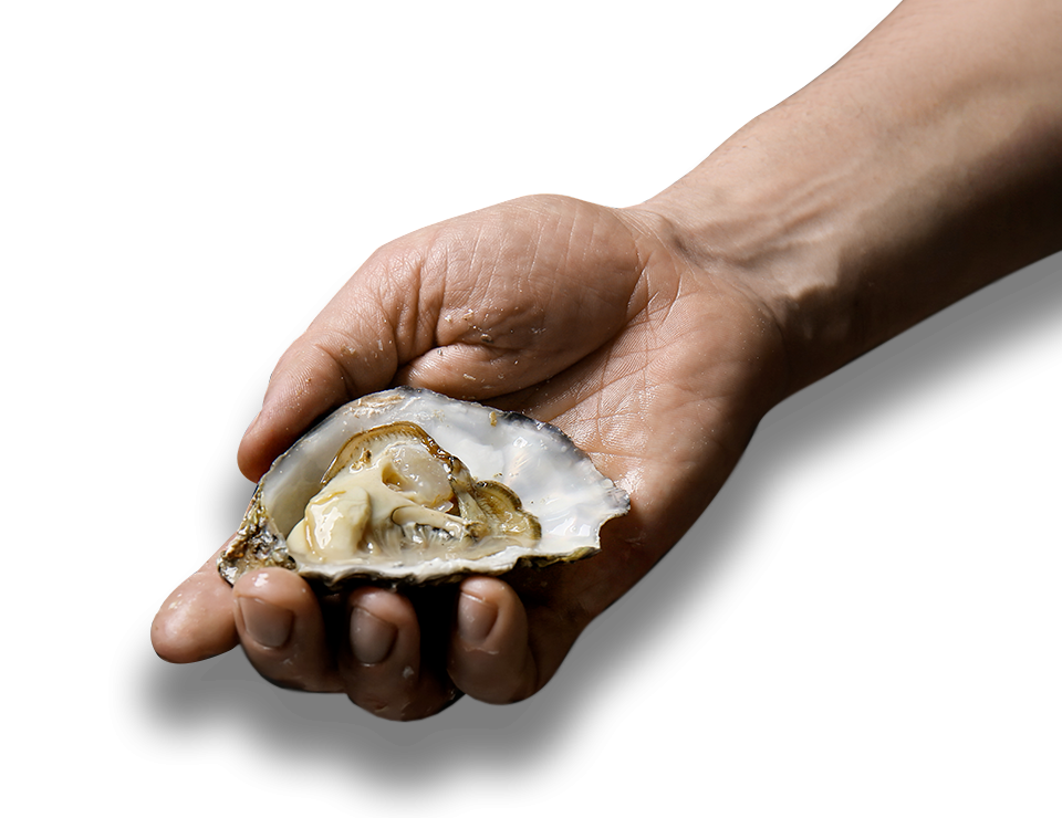 Addenda - restaurant GUJAN-MESTRAS