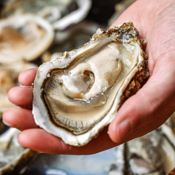 La carte - Addenda - restaurant GUJAN-MESTRAS